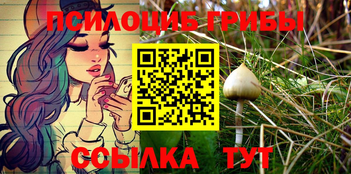Галлюциногенные грибы MAGIC MUSHROOMS  Псилоцибиновые грибы Psilocybe  Нижний Новгород 