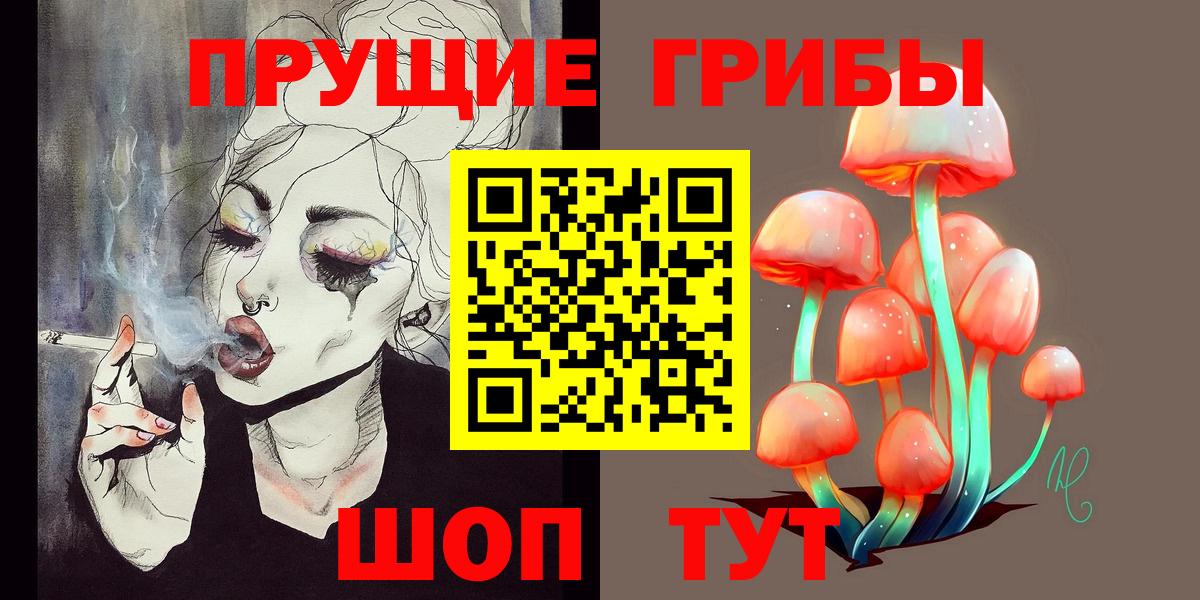 Галлюциногенные грибы Psilocybe  Вход с VPN  Нижний Новгород 