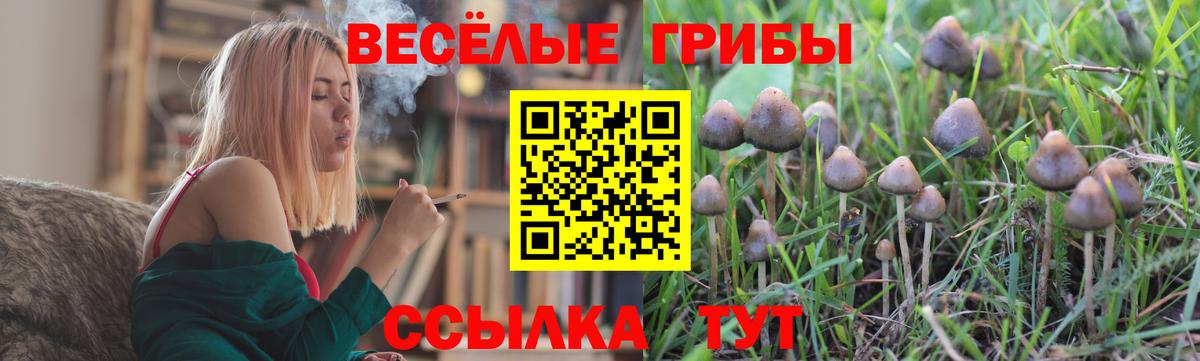 Псилоцибиновые грибы GOLDEN TEACHER Нижний Новгород